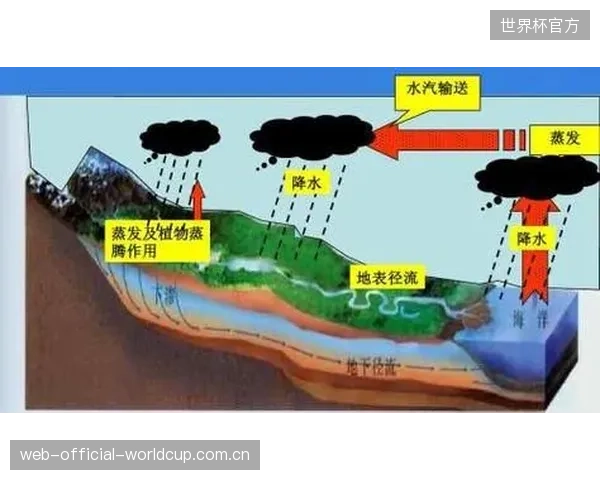 夏洛特白水中心运用流体力学模型演算,优化了障碍物在百年一遇洪水流量下的结构稳定性 夏洛特白水中心运用流体力学模型演算,优化了障碍物在百年一遇洪水流量下的结构稳定性